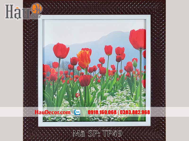 Tranh In UV Cánh Đồng Hoa Tulip TP46