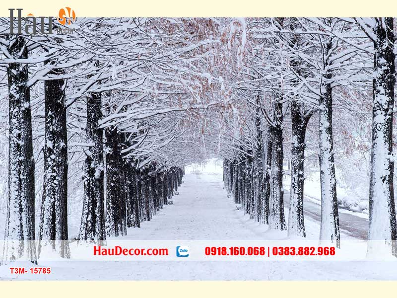 Tranh Dán Tường Con Đường 15785