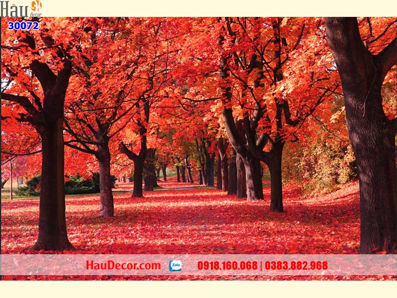 Tranh Dán Tường Con Đường 30072