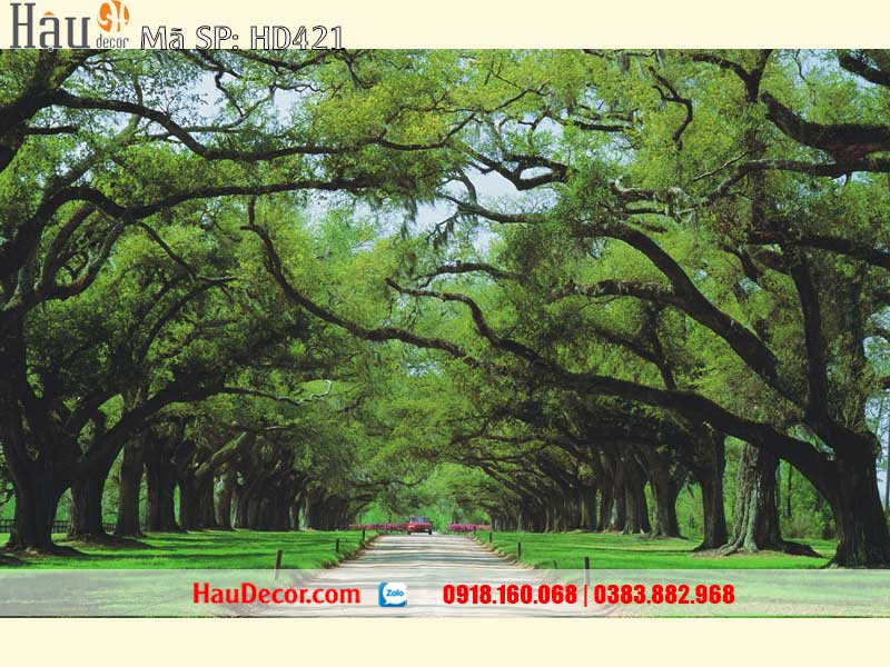 Tranh Dán Tường Con Đường 421