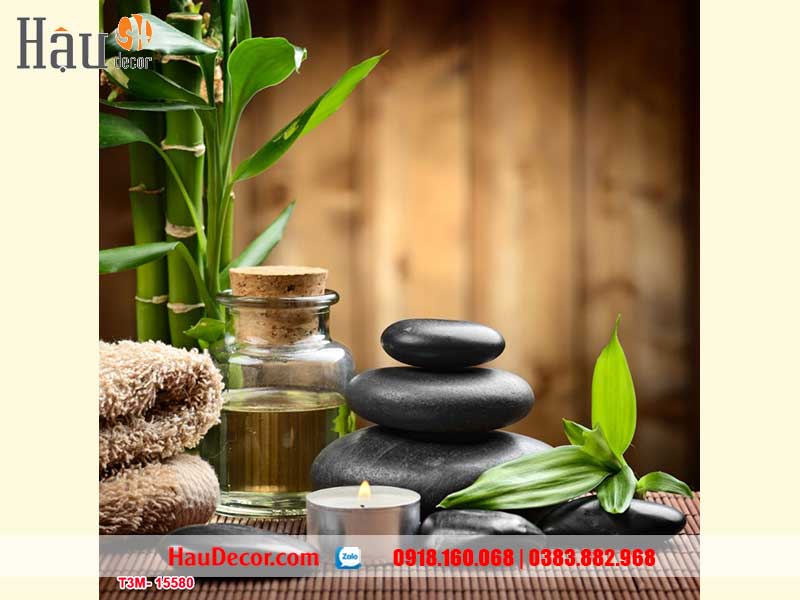 Tranh Dán Tường Trang Trí Spa 15580